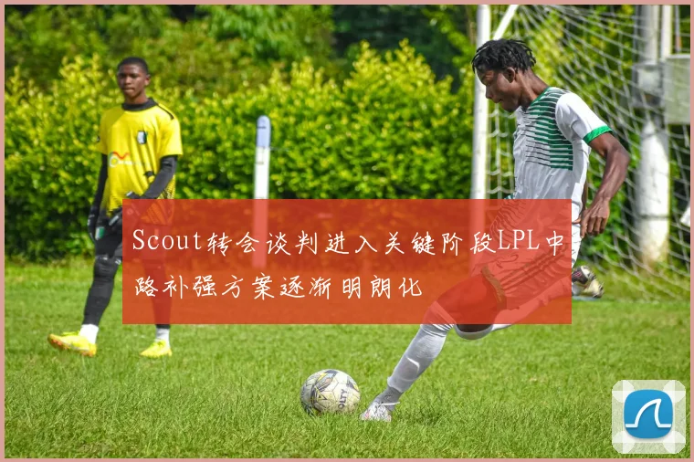 Scout转会谈判进入关键阶段LPL中路补强方案逐渐明朗化