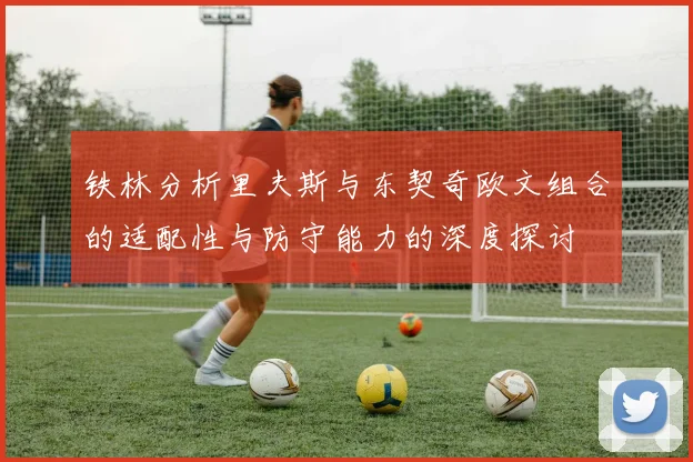 铁林分析里夫斯与东契奇欧文组合的适配性与防守能力的深度探讨